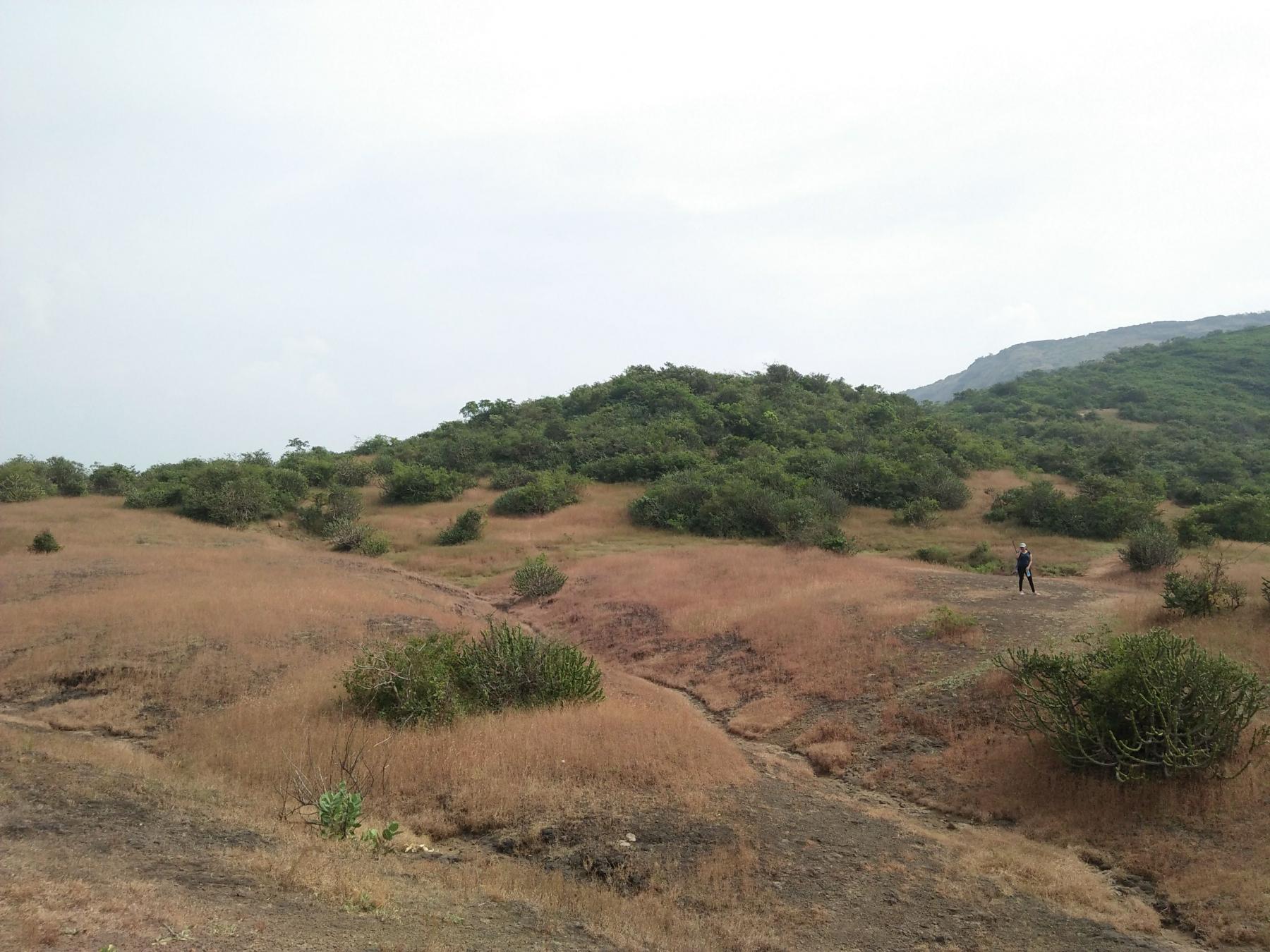 Lonavala Plateau